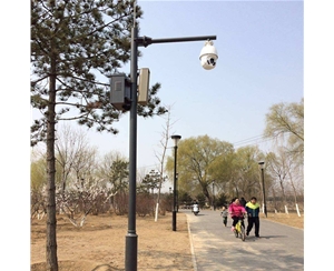 乌恰小区监控杆-LB-02